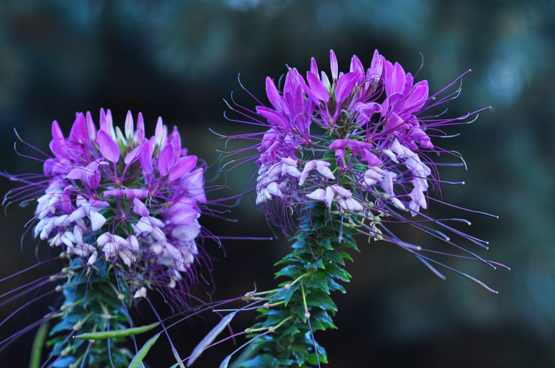 DSC_0640_����.jpg