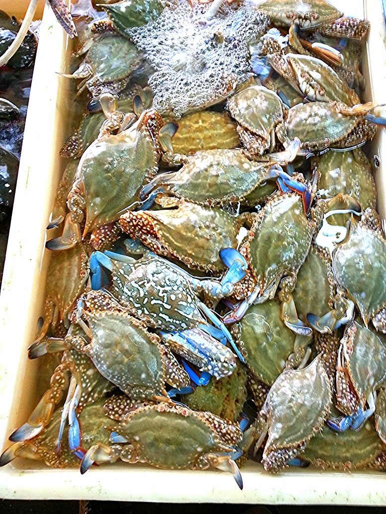 IMG_20130805_034904.jpg