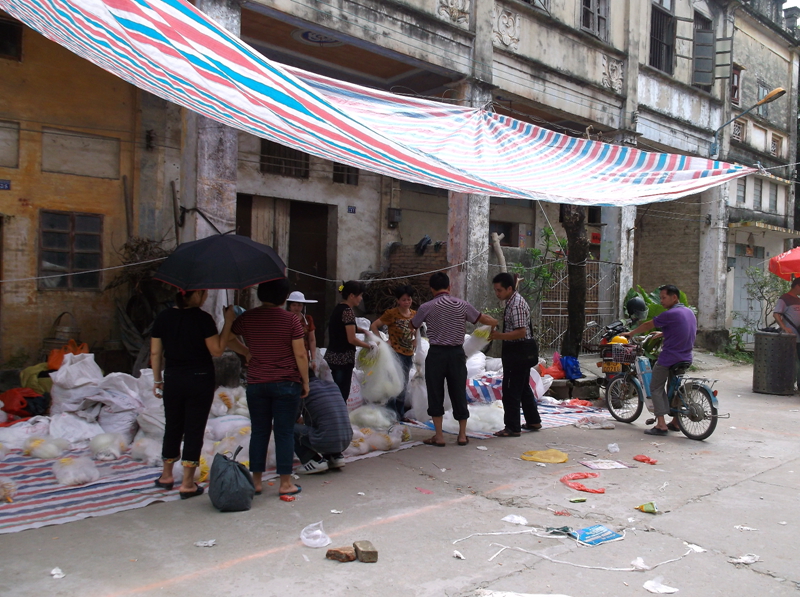 DSCF1589.jpg
