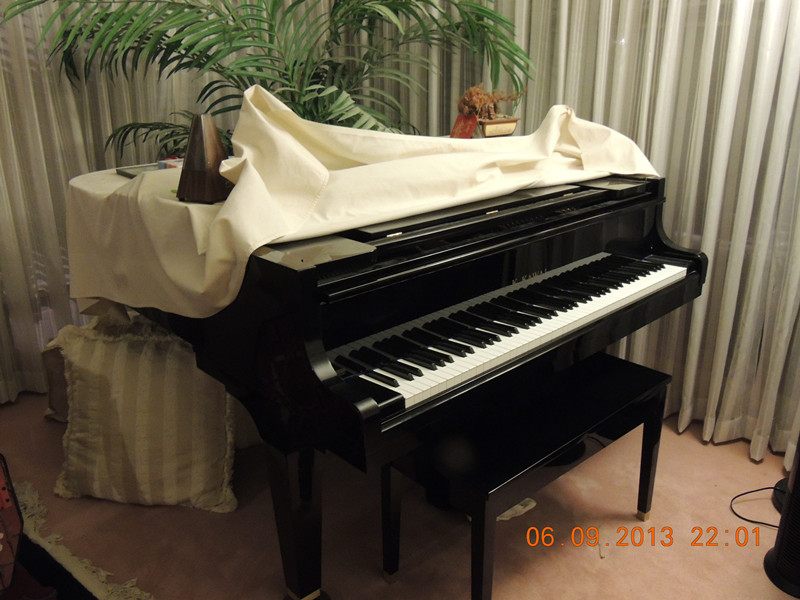 live 475_.jpg