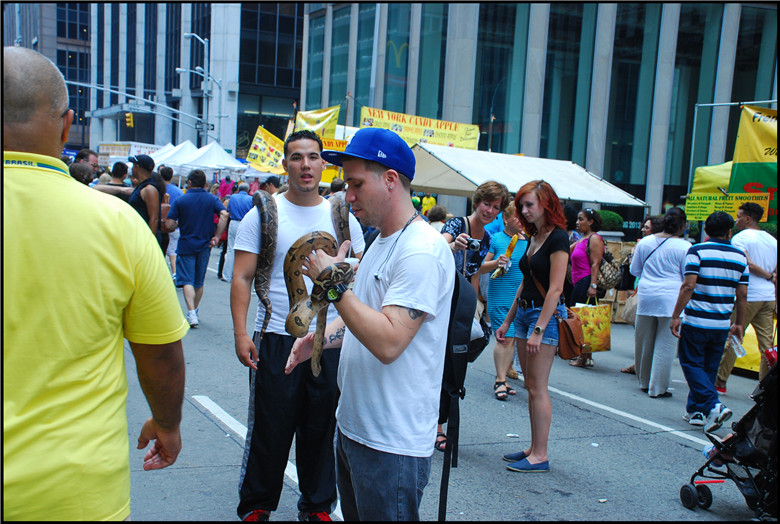 DSC_0158.jpg