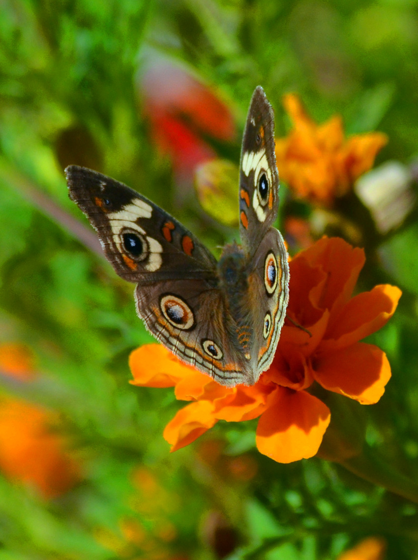 DSC_2545_13.jpg