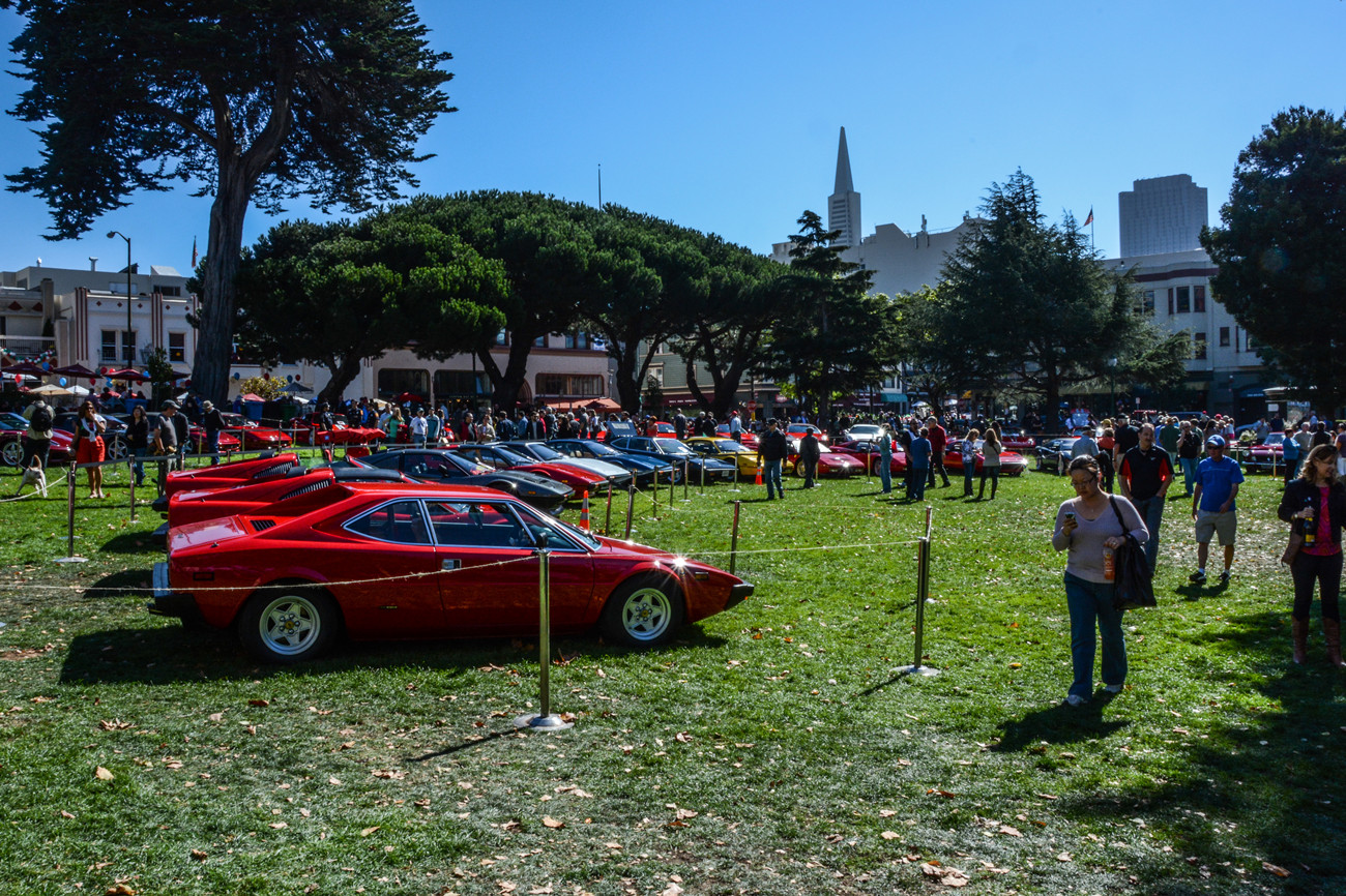 DSC_8977-17.jpg