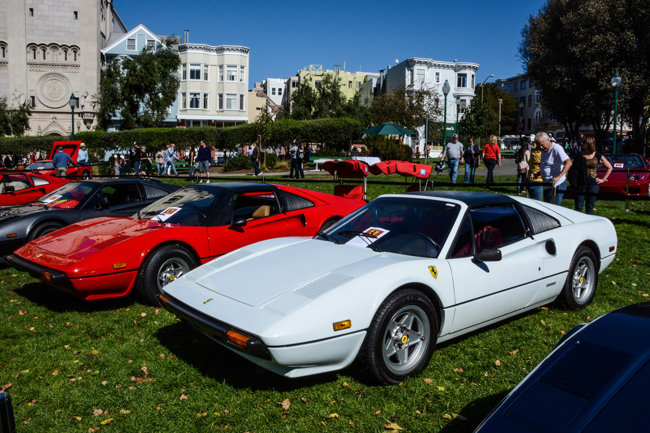 DSC_8935_15.jpg
