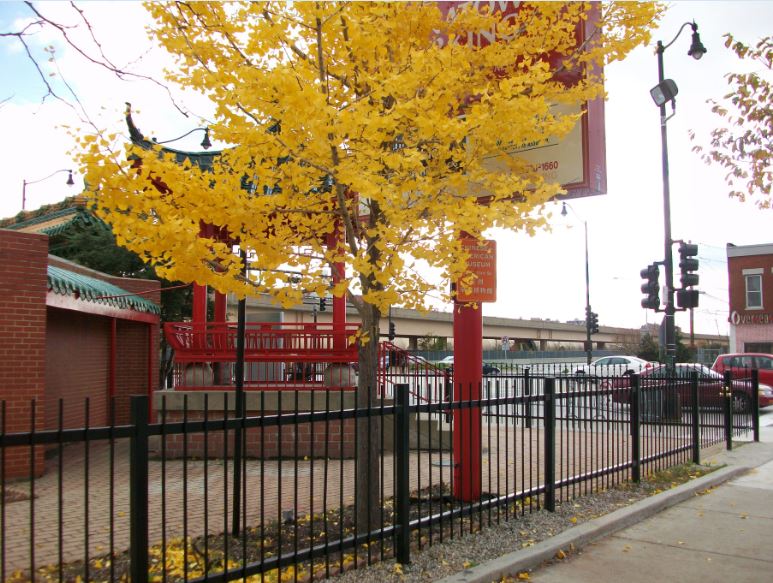 Chicago_Fall_8.JPG
