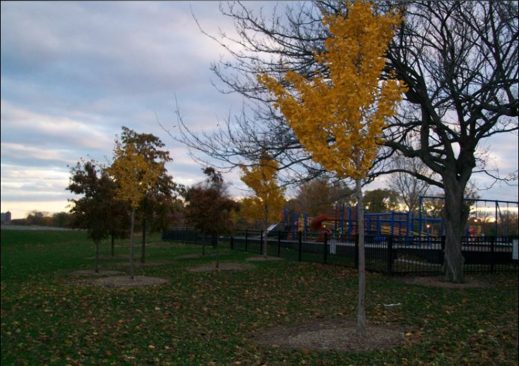 Chicago_LakeB.JPG