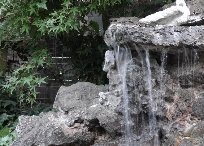 10.10.18.gif