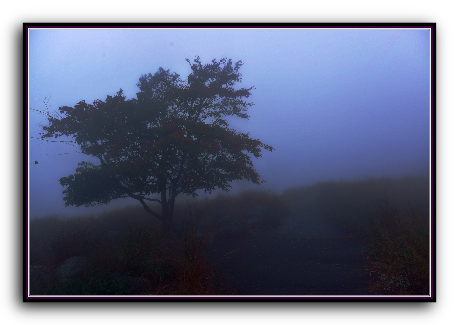 DSC_2568.jpg