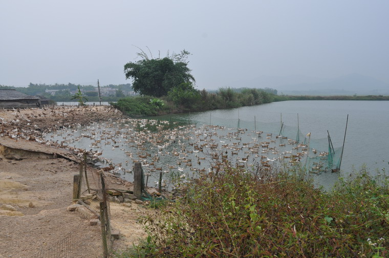 DSC_1093.JPG