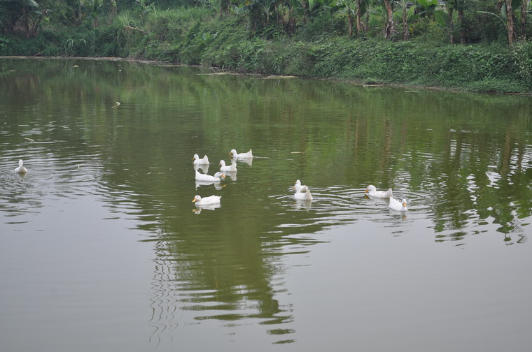 DSC_0160.JPG