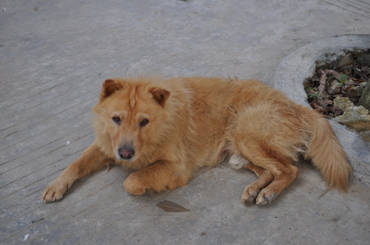 DSC_0181.JPG