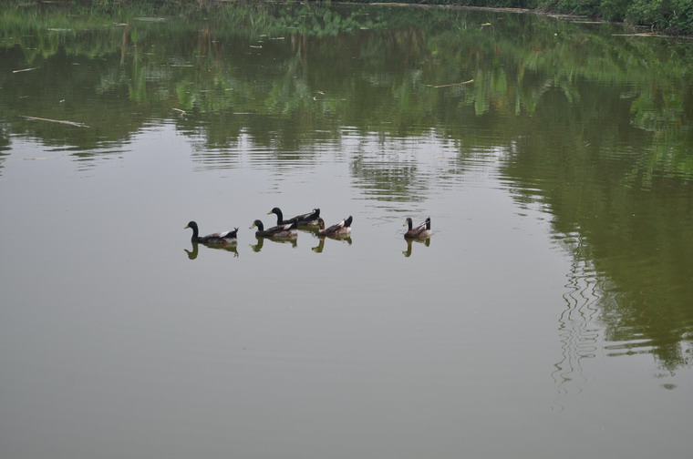 DSC_0148.JPG