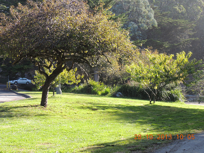 Golden gate park 007_.jpg