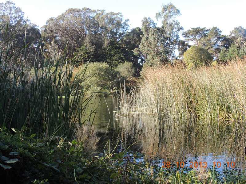 Golden gate park 022_.jpg