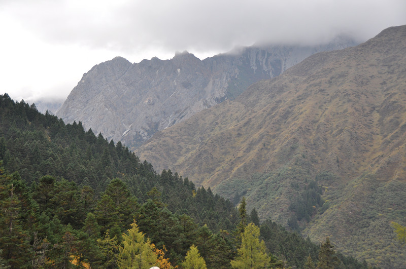 chengdu&nbsp;&nbsp;jizhaigou-china tour 106_.jpg