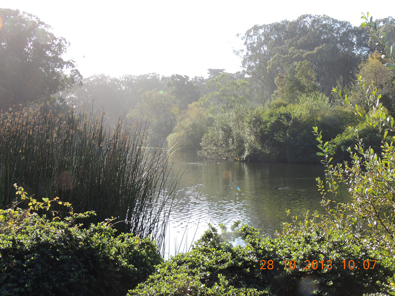 Golden gate park 010_.jpg