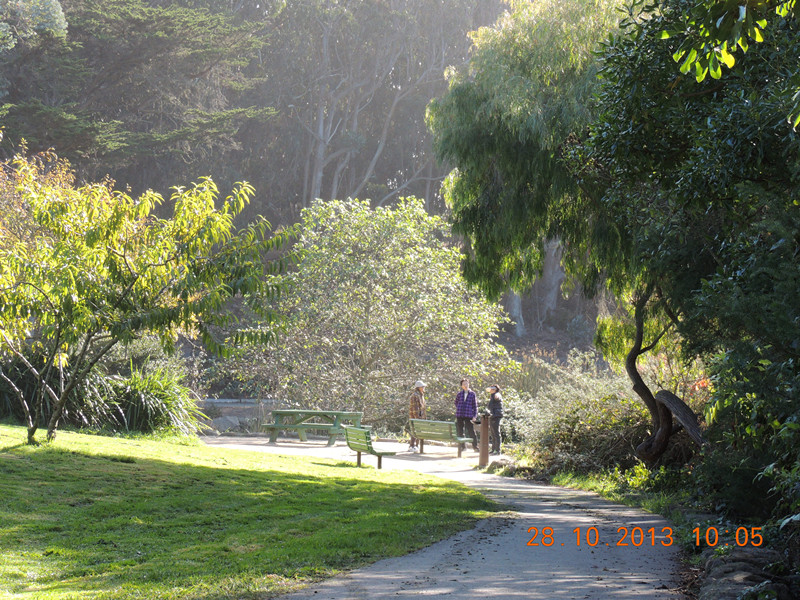 Golden gate park 005_.jpg