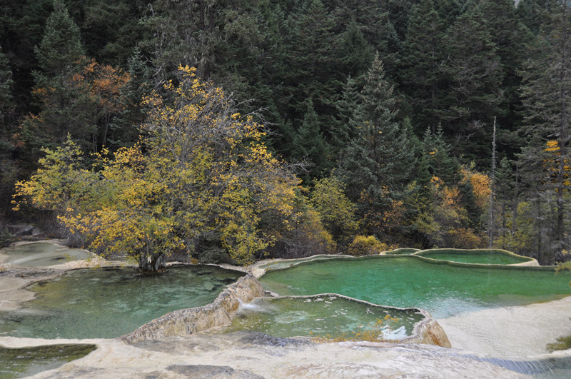 chengdu&nbsp;&nbsp;jizhaigou-china tour 121_.jpg