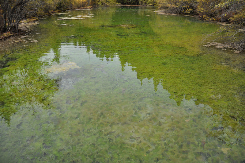 chengdu&nbsp;&nbsp;jizhaigou-china tour 084_.jpg