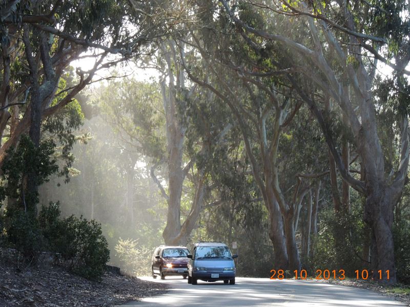 Golden gate park 025_.jpg