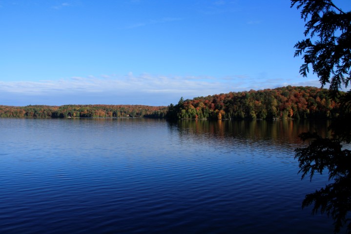 _MG_1692 (Small).JPG