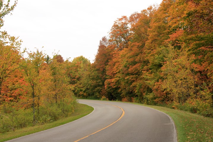_MG_1305 (Small).JPG