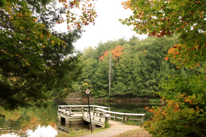 _MG_1303 (Small).JPG