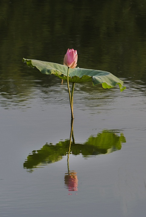 DSC_8630.jpg
