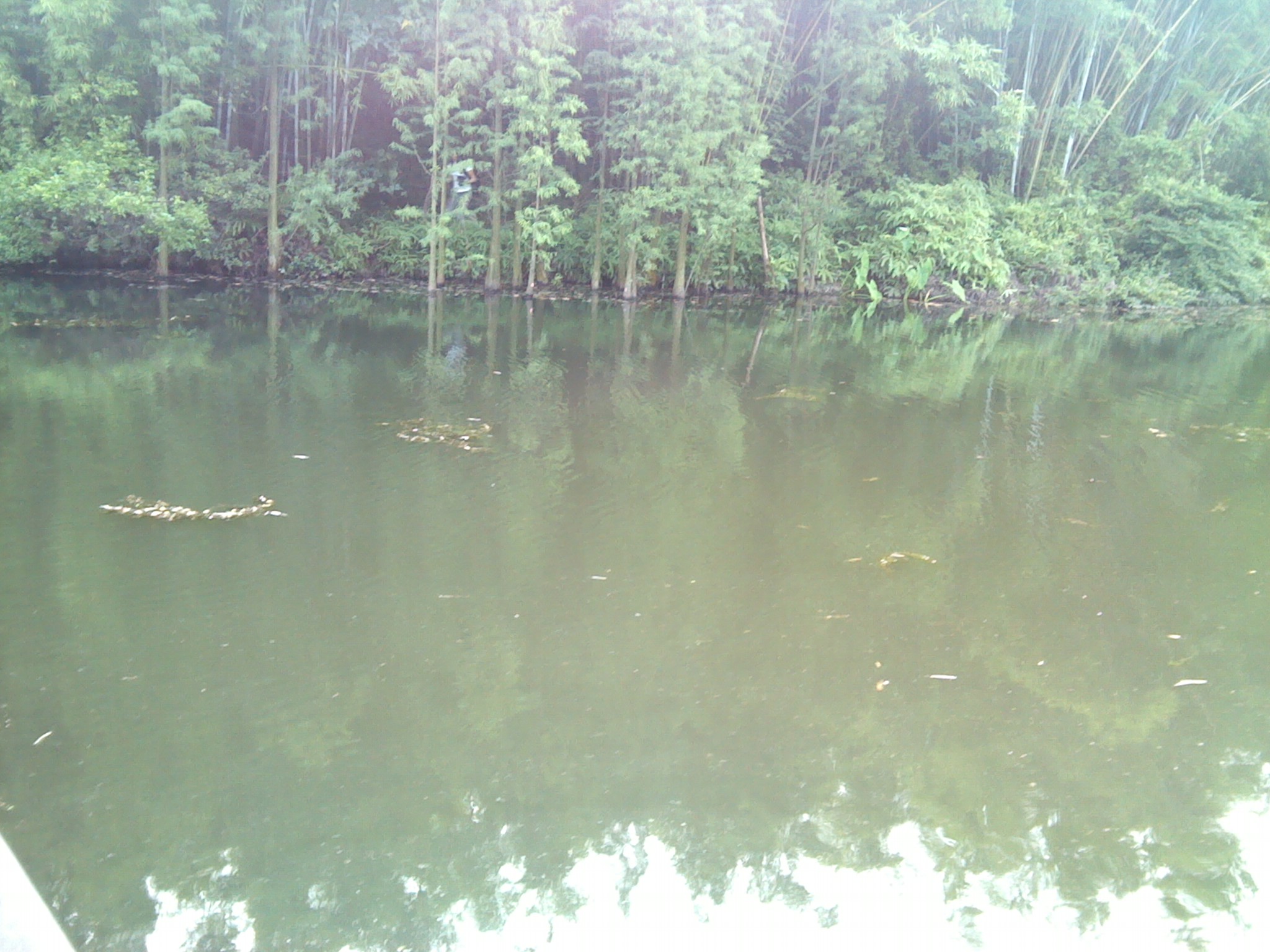 IMG_20130630_175433.jpg
