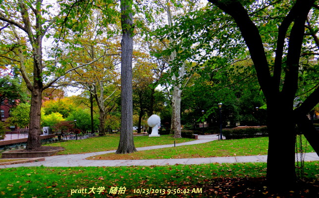 IMG_0001_5642.jpg