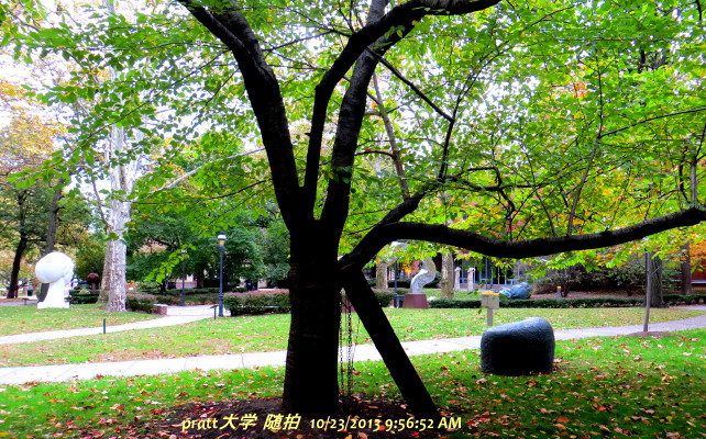 IMG_0001_5643.jpg