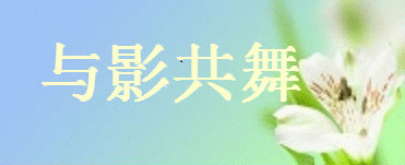 output_zwLMcP.gif