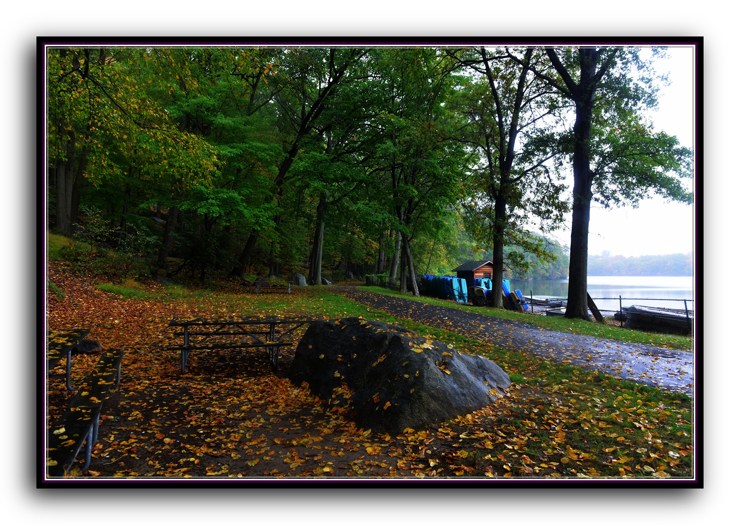 DSC_2654.jpg