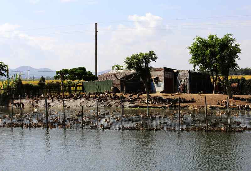 ��ɽ��ʯ�ո�2012.11. 222.jpg