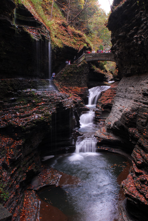 DSC_0168.jpg