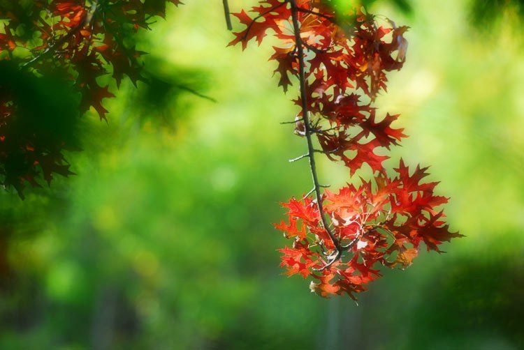 DSC_0076_����.jpg