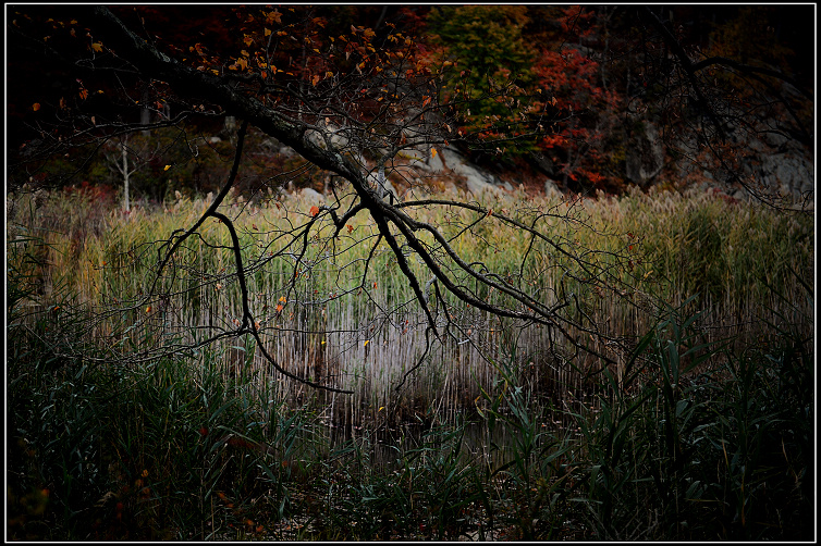 DSC_2876.JPG