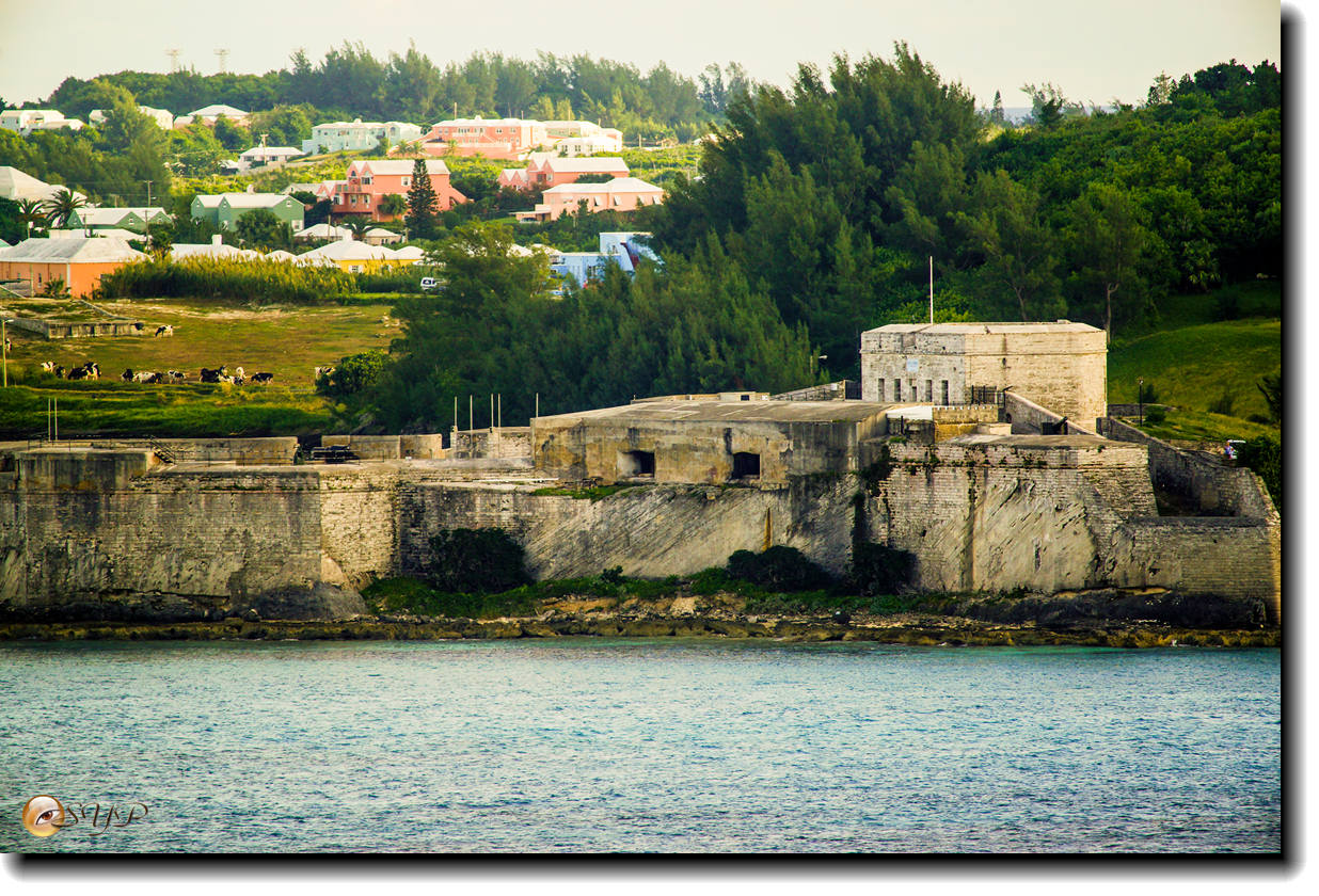DSC07149_.jpg