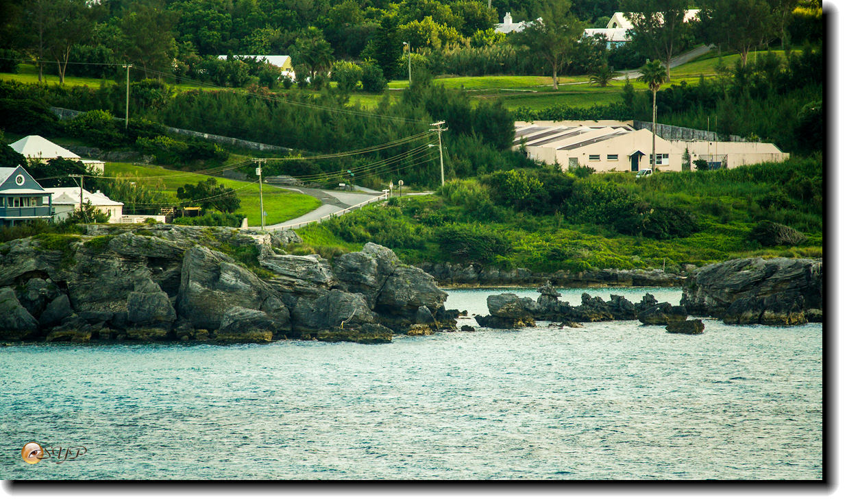 DSC07152_.jpg