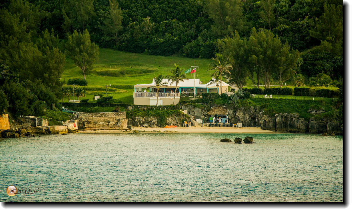 DSC07151_.jpg
