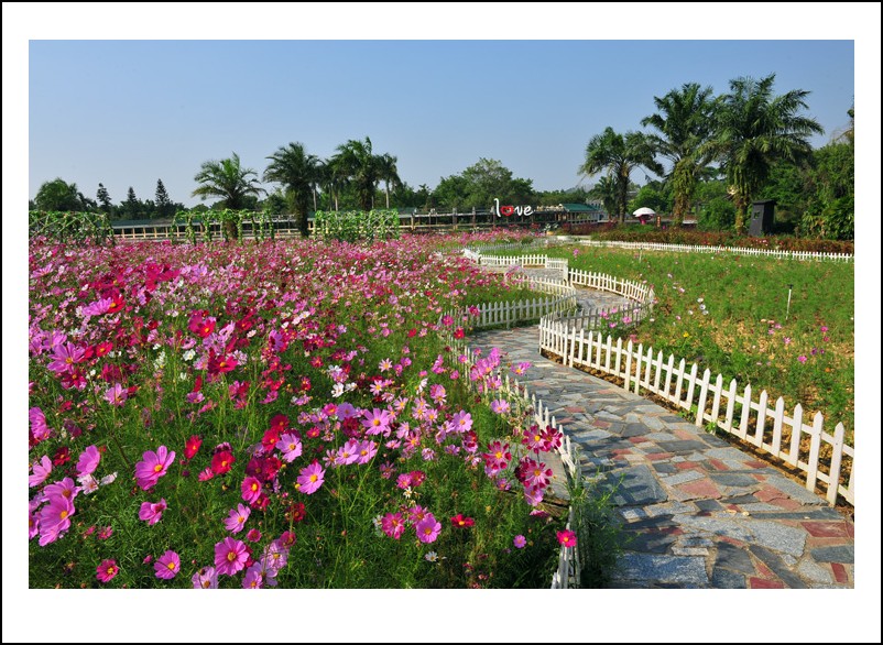 DSC_1475 - _conew1.jpg