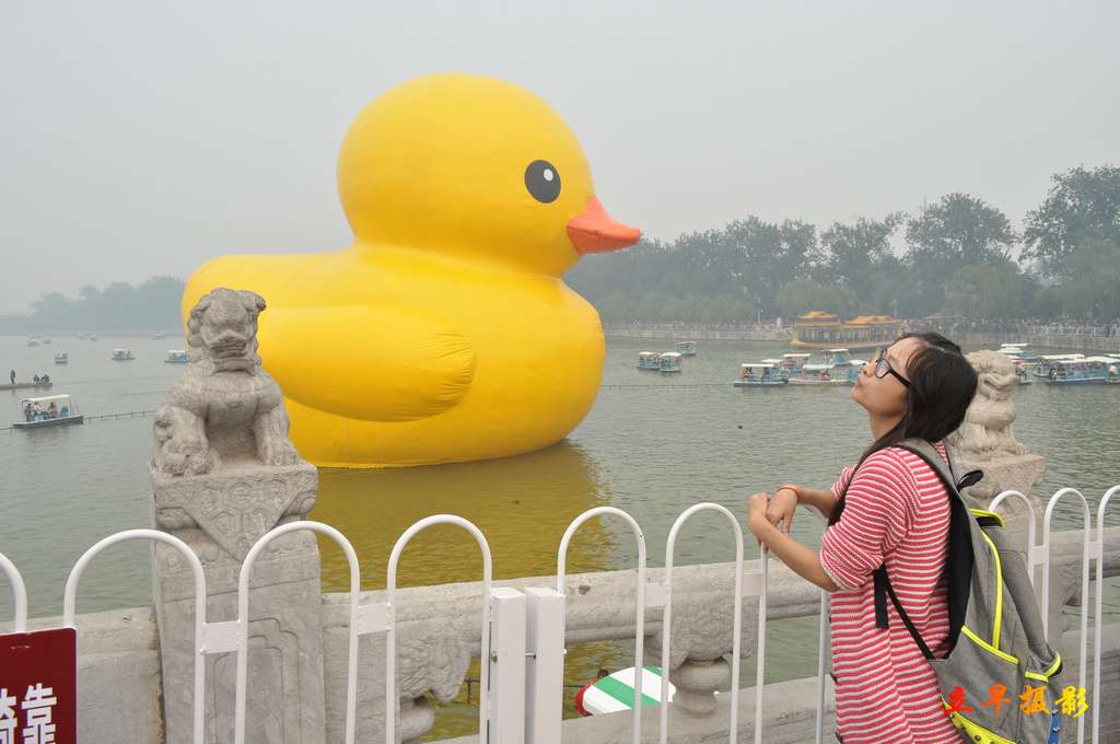 DSC_3394.jpg