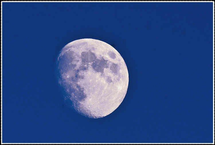 DSC_0931.jpg