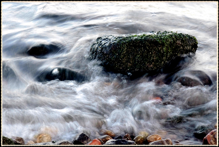 DSCN8781.jpg
