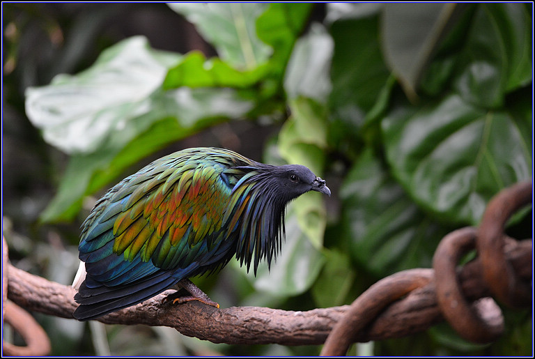 DSC_0165.jpg