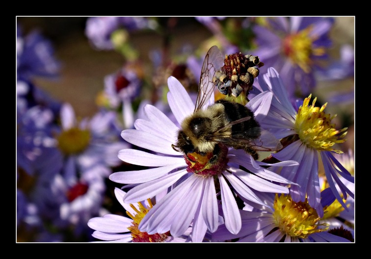DSC01717.JPG