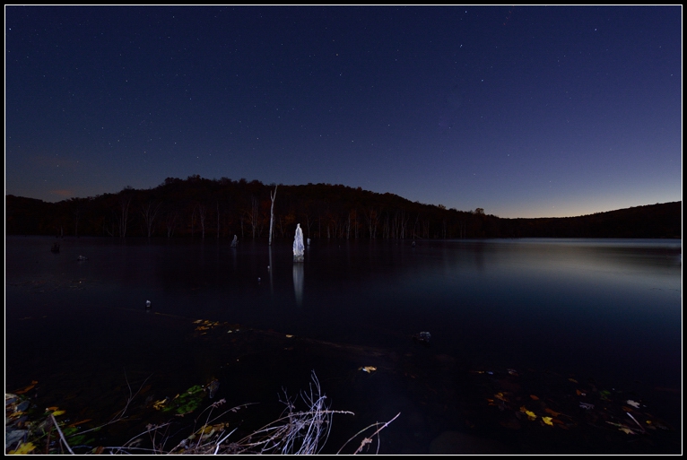DSC_0324.jpg
