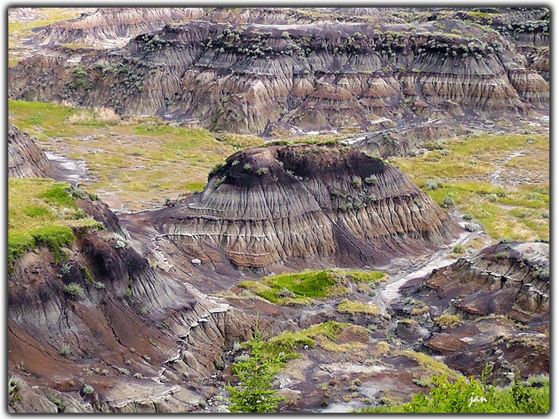 H2250357.=.jpg