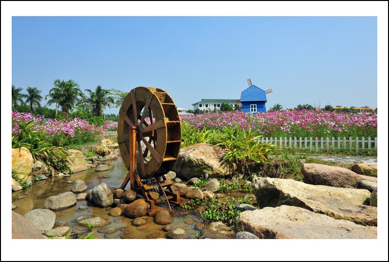 DSC_1417 - _conew1.jpg