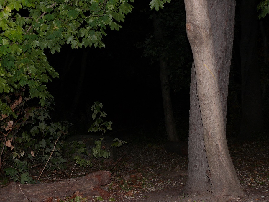 L1070889.JPG